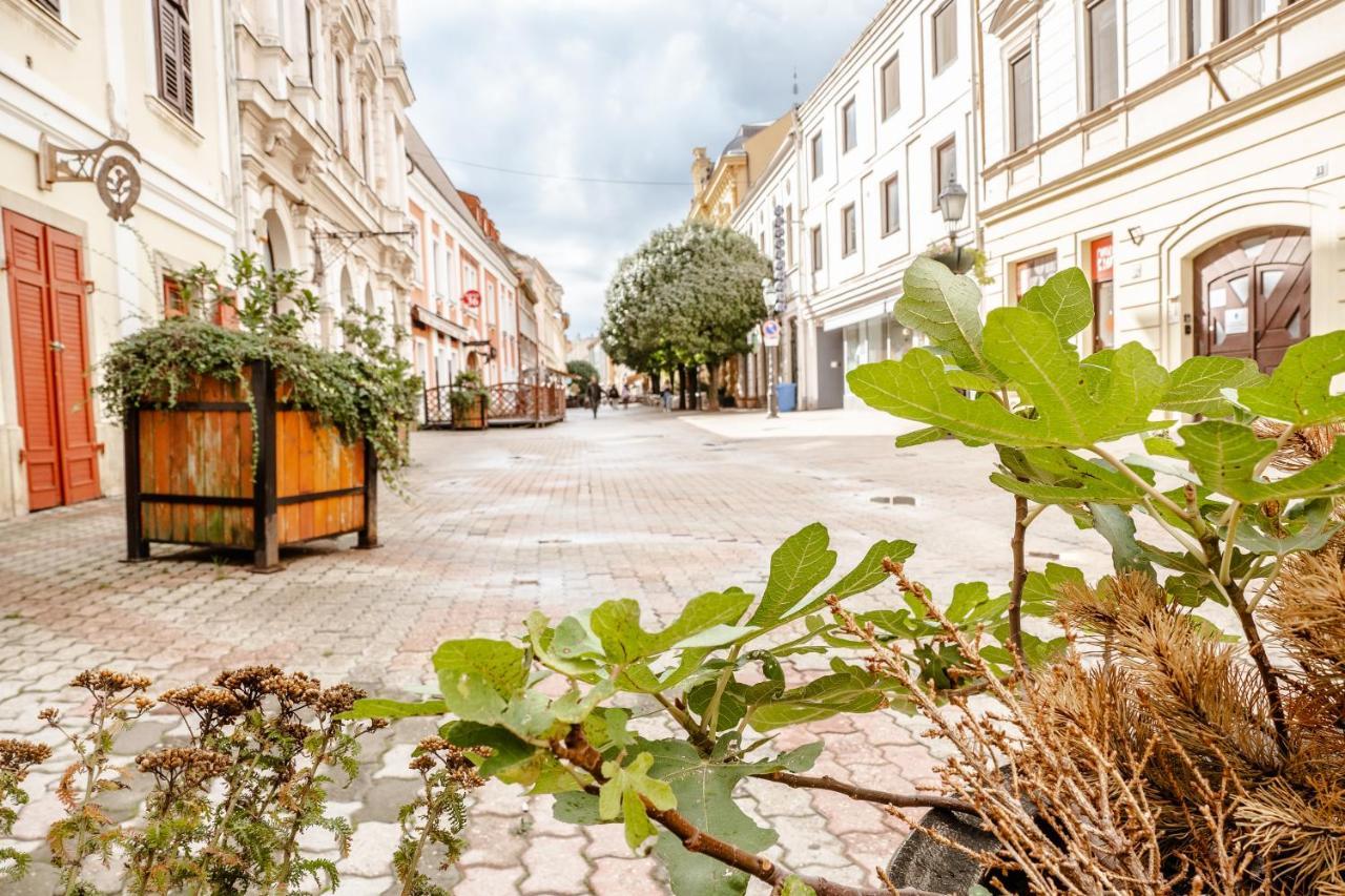 Appartamento Kiraly40 Pécs